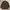 Uniqlo Casual Parka Pria brown photo 1