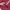 Gorpcore Parka Pria red photo 6