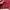 Gorpcore Parka Pria red photo 5
