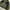 Fieldcore Gorpcore Parka Pria green black photo 4