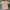 Vintage Streetwear T-shirt Pria tan photo 2