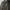 Japanese brand Streetwear Sportswear Casual shirt Pria brown photo 2