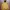 Montbell Streetwear Sportswear Parka Pria yellow photo 1