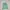 New Balance Streetwear Sweater Pria green photo 1