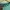 New Balance Streetwear Sweater Pria green photo 2