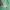New Balance Streetwear Sweater Pria green photo 4