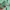 New Balance Streetwear Sweater Pria green photo 3
