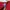 Champion Streetwear Sweater Pria red photo 2