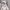 Nike Streetwear Sweater Pria gray photo 3