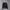 Nike Streetwear Sweater Pria black photo 1