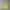 Nike Streetwear Sweater Pria green photo 1