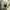 Nike Streetwear Sweater Pria green photo 3