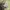 Nike Streetwear Sweater Pria green photo 4