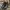 Converse Streetwear Casual Sneakers Pria black photo 4