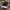 Converse Streetwear Casual Sneakers Pria white black photo 3