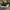 Converse Streetwear Casual Sneakers Pria white black photo 2