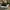 Converse Streetwear Casual Sneakers Pria White Black