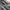Montbell Streetwear Sportswear Track jacket Pria black photo 2