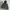 Nike Vintage Hoody Pria green gray photo 3