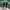 Nike Vintage Hoody Pria green gray photo 5