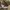 Converse Streetwear Casual Sneakers Pria burgundy white photo 1