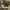 Converse Streetwear Casual Sneakers Pria Burgundy White