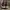 Converse Streetwear Casual Sneakers Pria burgundy white photo 5