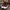 Converse Streetwear Casual Sneakers Pria burgundy white photo 4