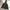Giordano Gorpcore Track jacket Pria green photo 2