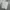 Uniqlo Sportswear Track jacket Pria white photo 3