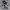 Nike Streetwear Y2K Sneakers Pria navy blue photo 1