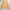 Gorpcore Minimalist Bomber jacket Pria tan photo 4