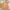 Gorpcore Minimalist Bomber jacket Pria tan photo 2
