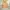 Gorpcore Minimalist Bomber jacket Pria tan photo 1