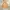 Gorpcore Minimalist Bomber Jacket Pria Tan