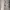 Dickies Casual Casual pants Pria tan photo 2