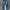 Evisu Casual Jeans Pria navy photo 1
