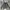 Paul Smith Biker Casual Denim Jacket Pria Black