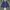 Lacoste Casual Bomber jacket Pria navy photo 1