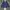 Lacoste Casual Bomber Jacket Pria Navy
