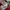 Adidas Sportswear Casual Track jacket Pria red photo 5