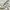 Lacoste Sportswear Casual T-shirt Pria white photo 3