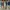 Global Work Vintage Streetwear Casual pants Pria green photo 2