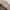 Global Work Vintage Streetwear Casual pants Pria green photo 7