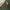 Global Work Vintage Streetwear Casual pants Pria green photo 6