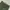 Global Work Vintage Streetwear Casual pants Pria green photo 4