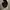 MLB Vintage Hat Pria gray photo 3
