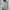 Champion Streetwear Casual Hoody Pria gray photo 2