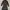 Longchamp Luxury Avant Garde Maxi Dress Wanita Black