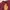 New Era Casual Shirt Dress Wanita Burgundy